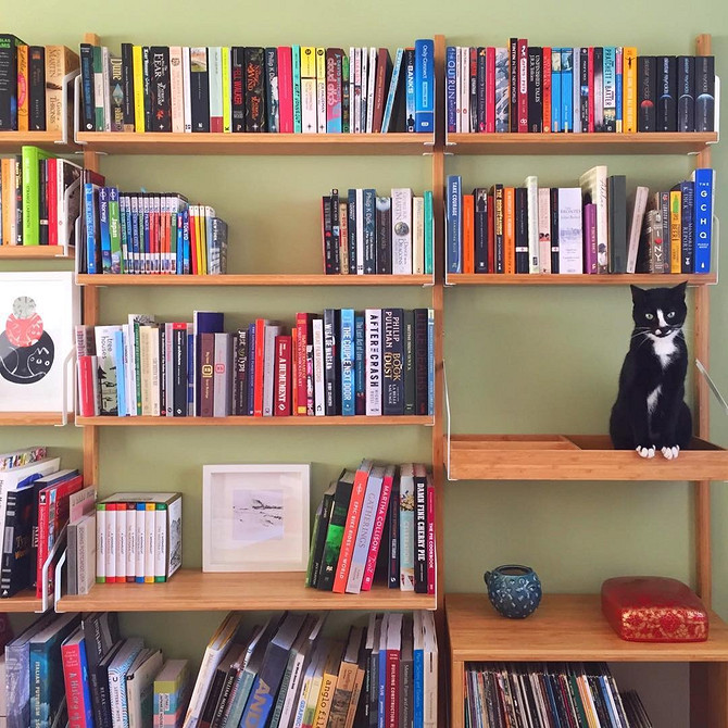 Стелаж з дверцятами Стелаж ІКЕА з дверцятами у їдальні, практичне рішення для посуду та кухонного приладдя.