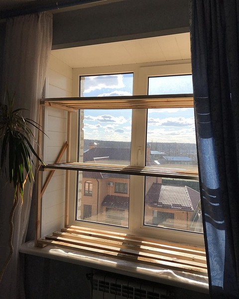 Готовий стелаж для розсади, встановлений на підвіконні, з молодими паростками 2026.