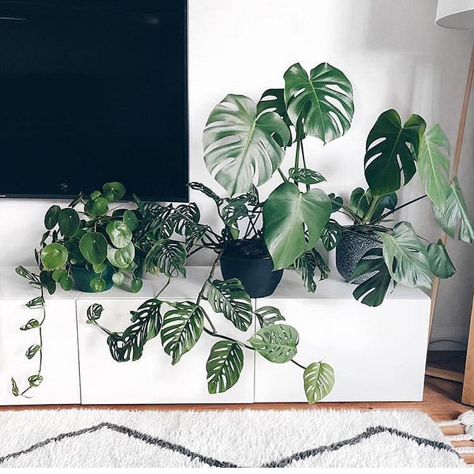 Сучасна вітальня з системою Бесто ІКЕА 2026: стильний мінімалістичний дизайн.