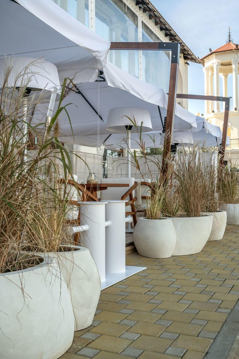 Бохо дизайн: велика кількість рослин, килимів, ковдр, подушок в кімнаті.