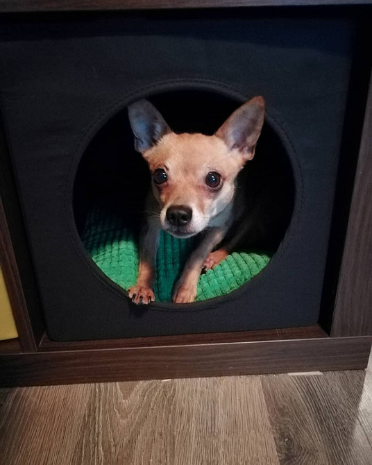 Організація простору ІКЕА Оригінальні приліжкові полиці ІКЕА в затишній спальні 2026 для книг та декору