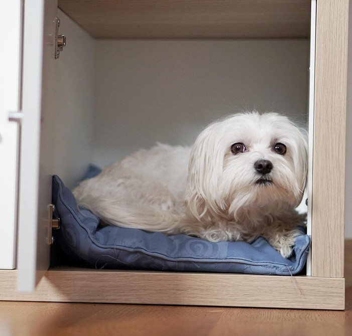 Креативні полиці ІКЕА Креативні рішення для зберігання в спальні 2026 з полицями ІКЕА, затишна атмосфера