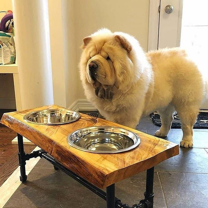 Декор з труб у стилі лофт: унікальний дизайн інтер'єру будинку у 2026 році.