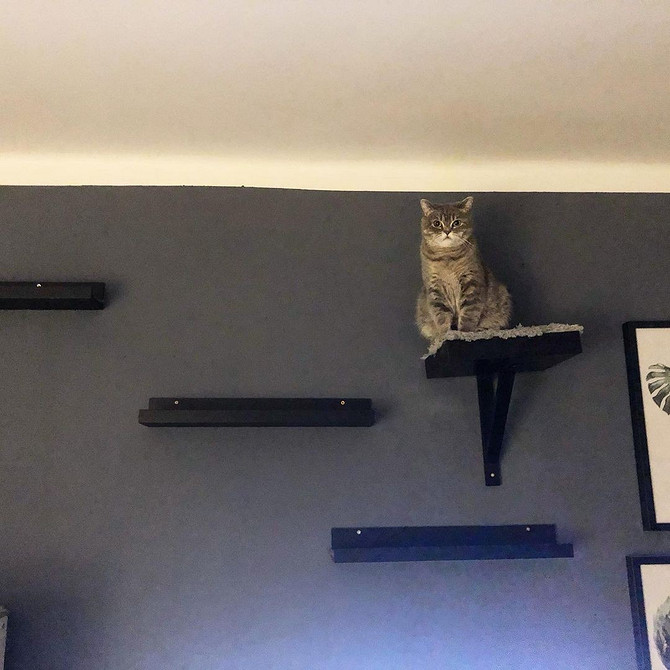 Організація з вузькою полицею Компактна вузька полиця IKEA для організації дрібниць у невеликих приміщеннях.