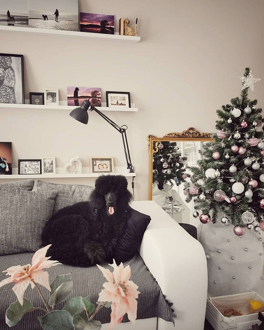 Декор дому 2026 Сучасний декор для дому 2026: приклади застосування вузьких полиць IKEA.