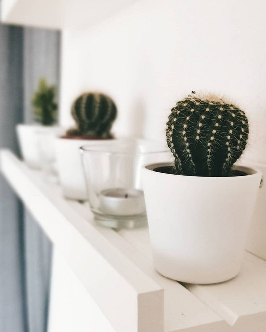 Полиця з рослинами Креативне розміщення вузької полиці IKEA для зберігання рослин та аксесуарів.