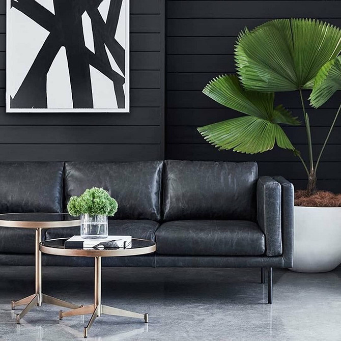 Гармонійне поєднання: темні меблі та світлий декор в дизайні інтер'єру.