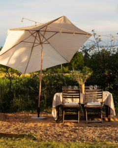 Садові парасолі: як створити затишну тінь та захиститися від сонця. — Тінь в саду