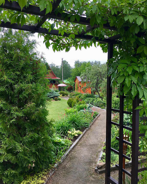 Захист від сонця в саду: стильні парасолі для створення затишної тіні.