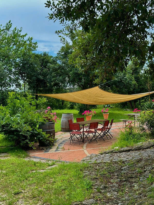 Садові парасолі: стильний та функціональний захист від сонця у вашому саду.