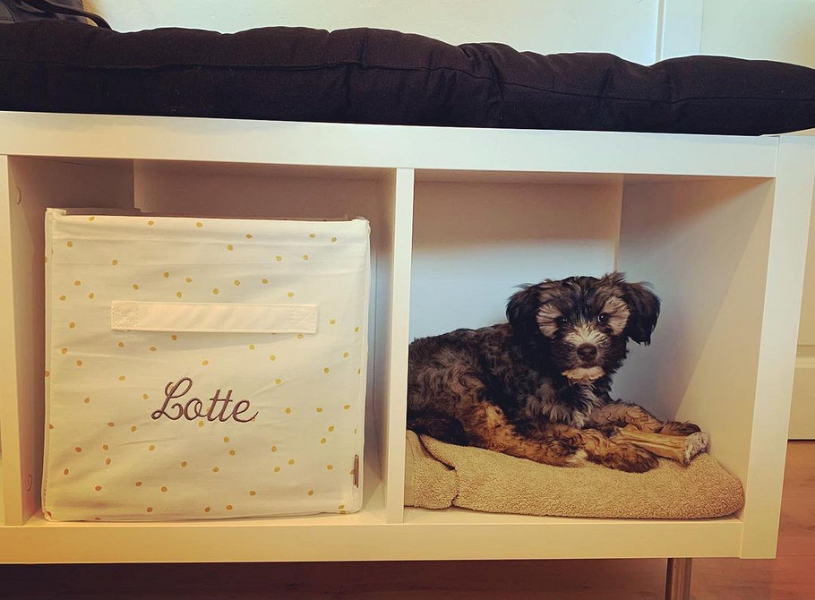 Варіанти використання стелажа Каллакс в маленькій квартирі: функціональні меблі в 2026