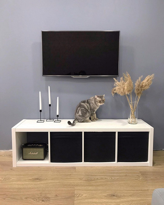 Ідеї використання стелажа Каллакс: стильний дизайн інтер'єру вітальні з книгами та декором.