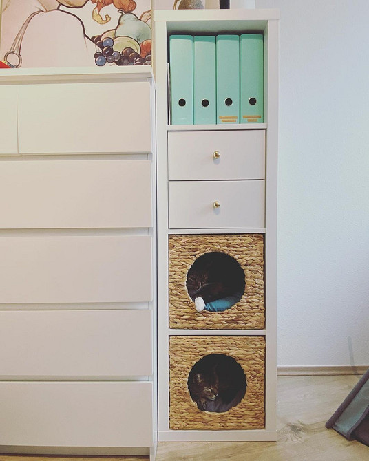 Функціональний Каллакс: рішення для зберігання в маленькій кухні