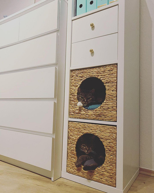 Стелаж Каллакс Ікеа: 11 ідей переробки для організації простору в 2026 році