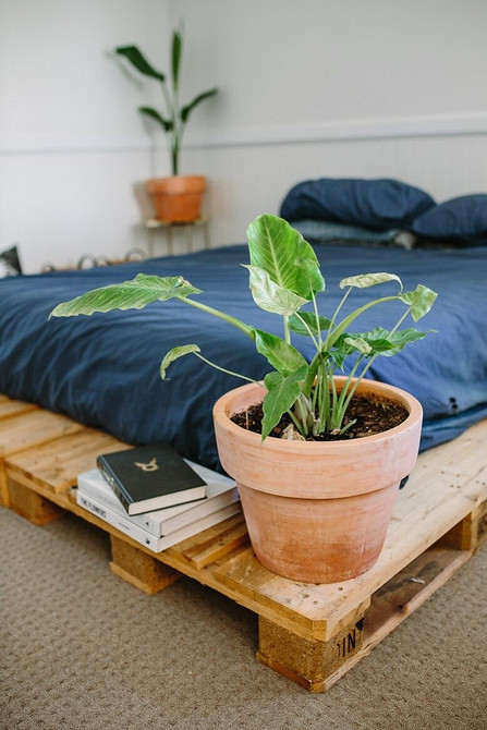 Зроби сам: ліжко з піддонів Ліжко з піддонів своїми руками: покрокова інструкція для початківців майстрів.