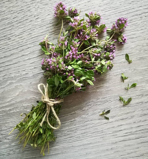 Як сушити чебрець в домашніх умовах: збір чебрецю, основні правила та поради.