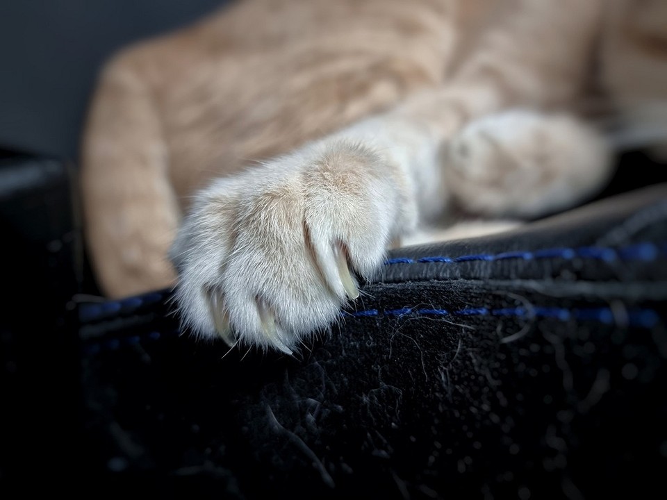 Огляд популярних тканин для перетяжки диванів, догляд за матеріалами та їх властивості