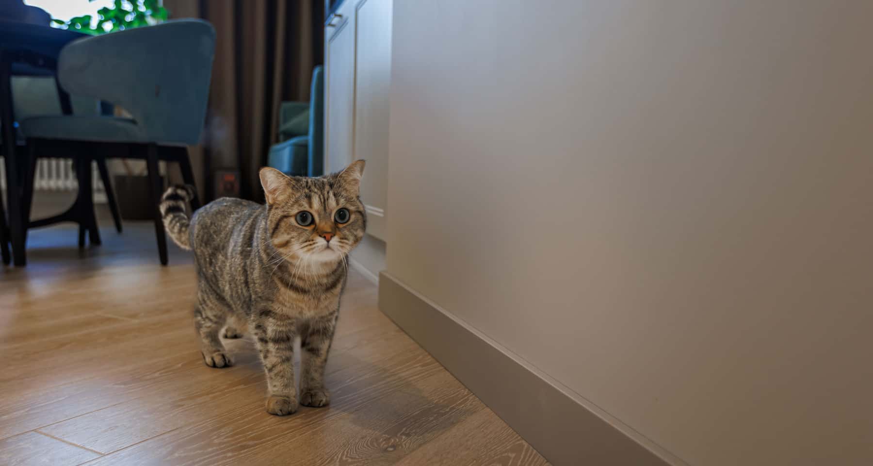 Елегантний дизайн інтер'єру квартири в неокласичному стилі з дитячою кімнатою