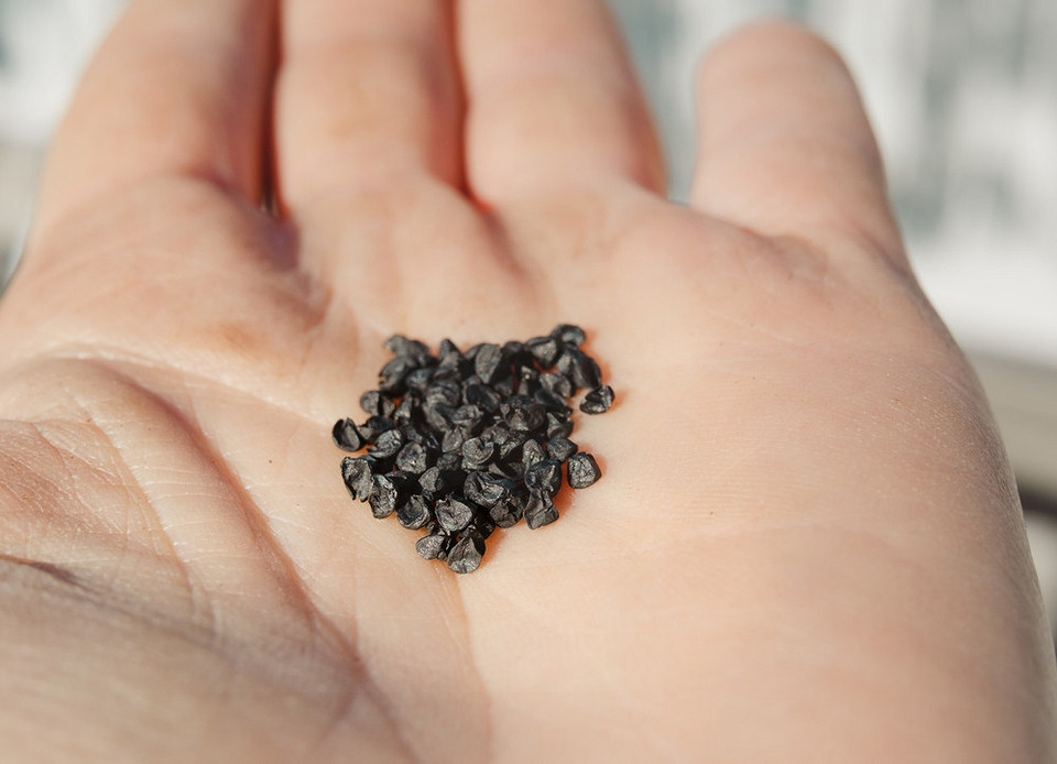 Цибуля батун росте в саду: поради з посадки цибулі у 2026 році