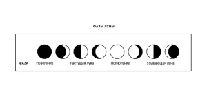 Місячний сад: гармонія та щедрий врожай у серпні 2026 — Місячний календар садівника 2026