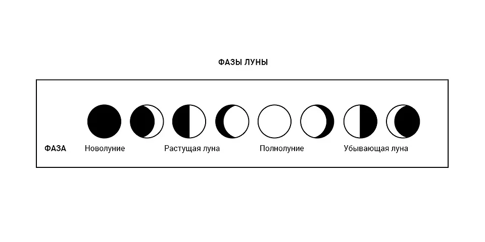 Серпень 2026: Місячний календар Місячний календар садівника на серпень 2026: фази місяця та роботи в саду.
