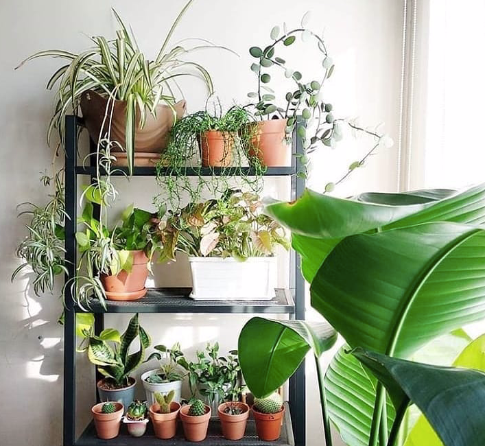 IKEA: Стильно та дешево Стильні та бюджетні меблі IKEA для дому: знахідки до 3000 грн