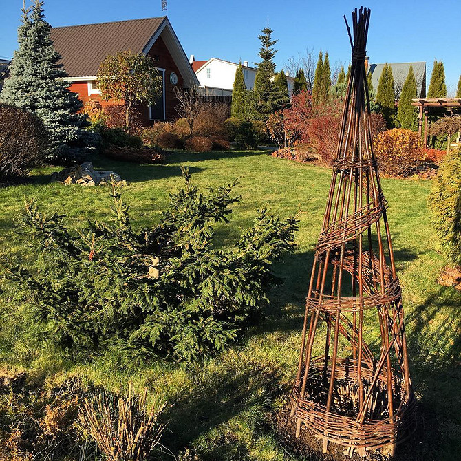 Дерев'яна підтримка для клематиса, зроблена своїми руками та обвита зеленню в саду.