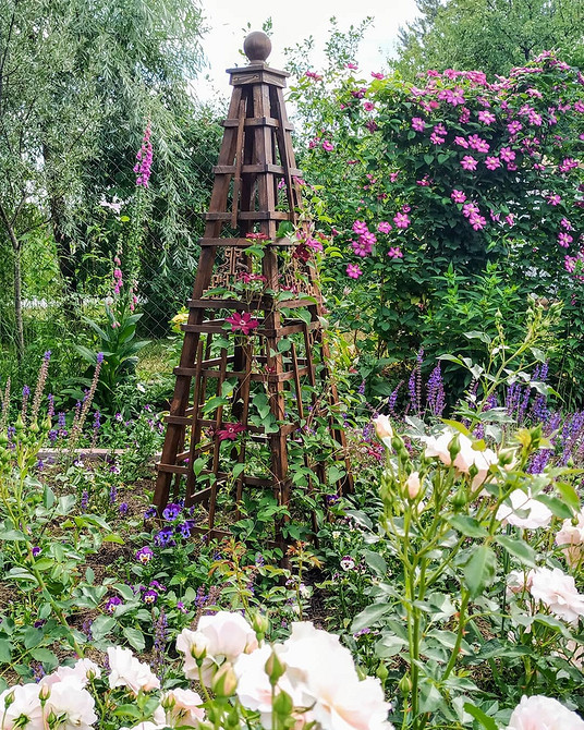 Креативна підтримка для витких рослин, виготовлена своїми руками з незвичайних матеріалів.