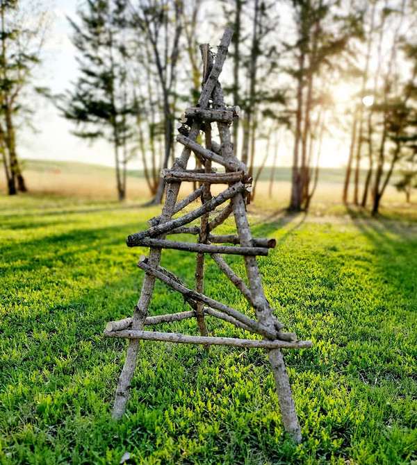 Підтримка для клематиса своїми руками з гілок дерев, інтегрована в садовий ландшафт.