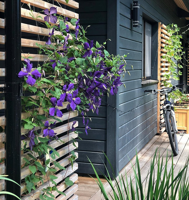 Саморобна опора для клематиса: ідеальне рішення для вирощування та підтримки рослин.