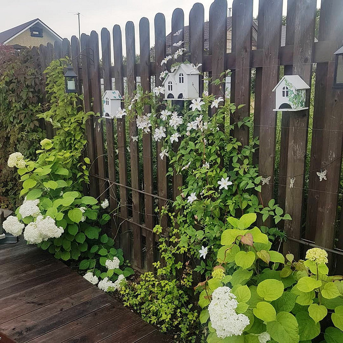 Саморобна опора для клематиса: підтримка для садової ліани та пишного цвітіння.