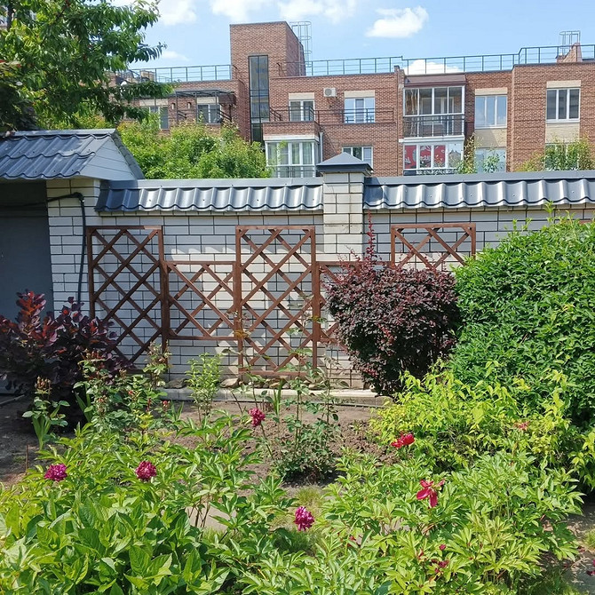 Саморобна опора для клематиса з гілок дерев, створює природний вигляд.