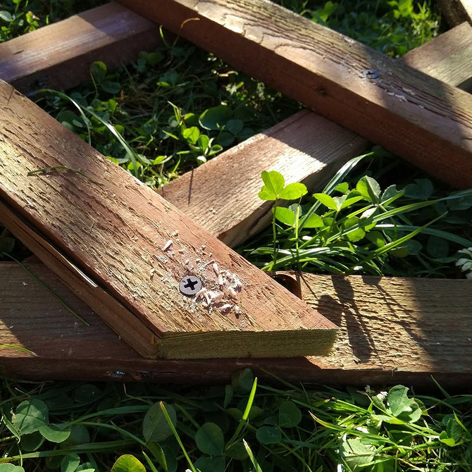 Клематис в'ється по арці, створюючи мальовничий вхід у сад.