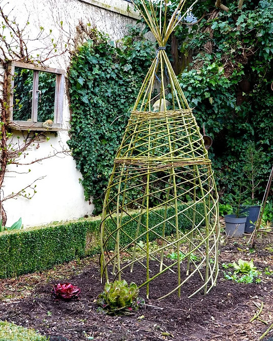Металева опора для клематисів та витких рослин в садовому дизайні.