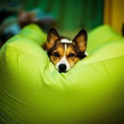 Креативні форми крісла-мішка в яскравому інтер'єрі 2026: м'які меблі ручної роботи.