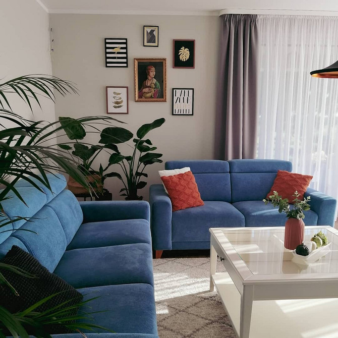 Інтер'єр з синім диваном: вибір відтінку, гармонійне поєднання з меблями, поради щодо вибору тканини.