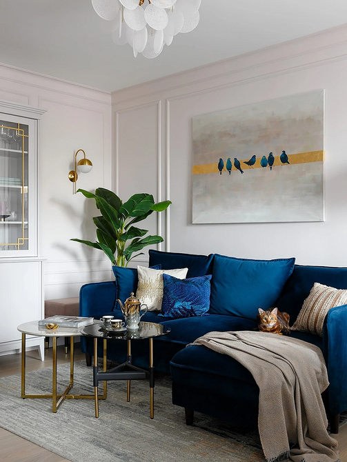 Мінімалістична вітальня з синім диваном та сірими стінами, яскрава меблі в інтерєрі.