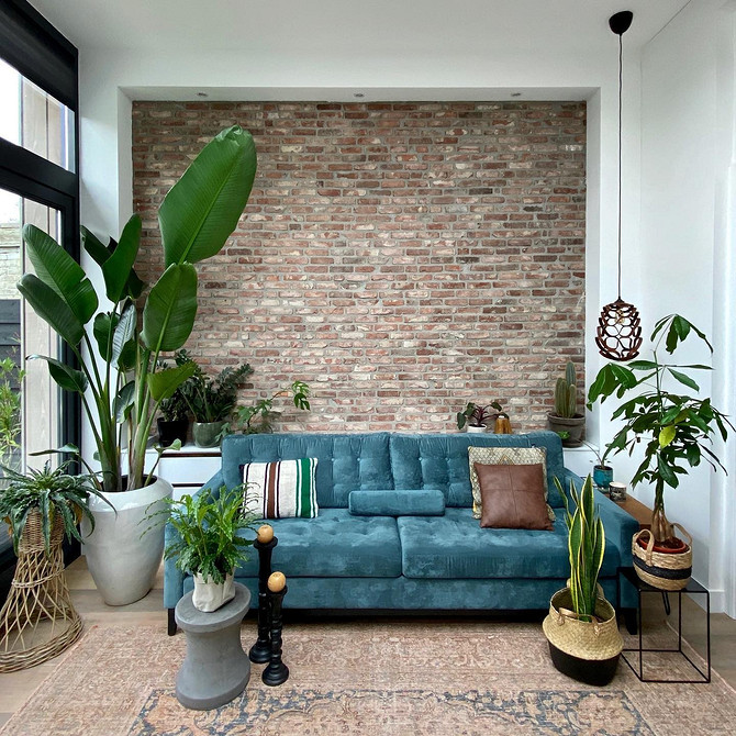 Золоті акценти та диван Дизайн інтер'єру з синім диваном та золотими акцентами: розкішне поєднання кольорів