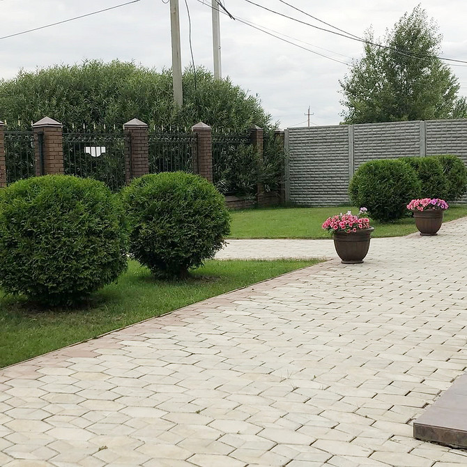 Затишний куточок в саду з туями: ідеальне місце для відпочинку на природі у 2026.