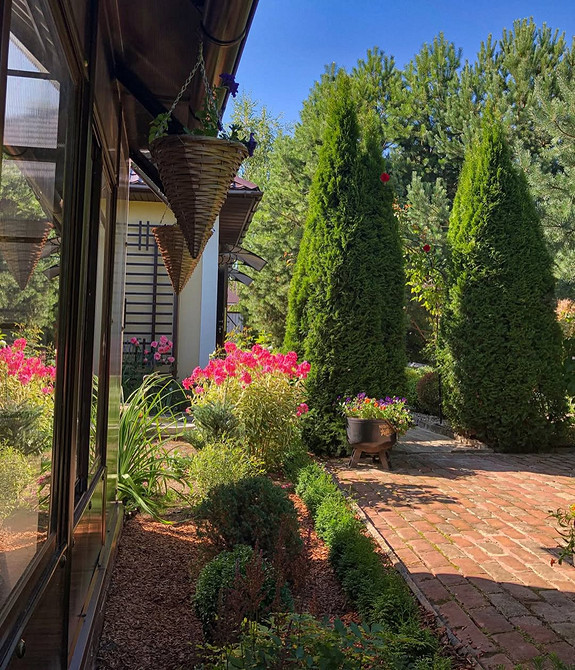 Туя в ландшафтному дизайні: гармонійне поєднання з квітами та декоративною травою.