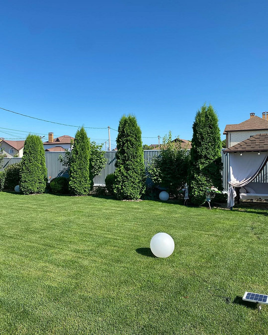 Туя як акцент: хвойні дерева як фокусна точка у ландшафтному дизайні.