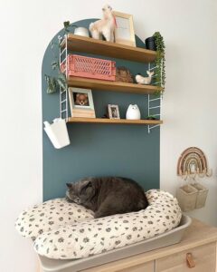 Відкриті полиці: як додати простору історії та характеру — відкриті полиці в інтер'єрі