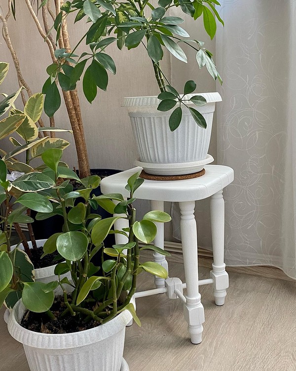 Переробка меблів: ідея відновлення старої рами в арт-об'єкт у 2026.