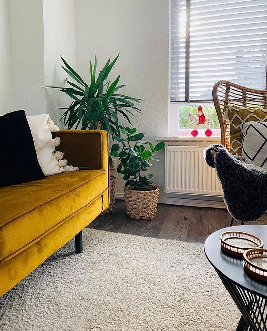 Яскравий жовтий диван на фоні білих стін і зелених рослин в інтер'єрі.