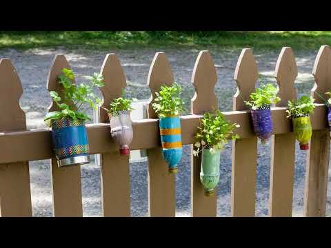 10 Ідей вертикального озеленення для вашого паркану: Максимум зелені на мінімум простору! - 11 - MZ Atelier