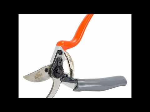 Як вибрати ідеальний секатор для саду: поради експерта від Майстерні Садівника - 18 - MZ Atelier